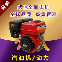 Small 156F 170F 190F all-steel petrol engine four-stroke engine power for water pump generator