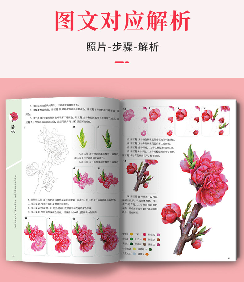 彩铅花卉基础教程一本通 2022一线绘画入门书籍教学彩色铅笔临摹零基础初学者临摹画线稿素描技法书超写实自学手绘本教材美术画册