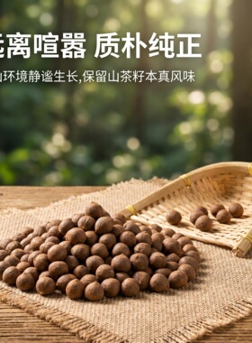 山茶籽微景观铺设玄关摆件配饰