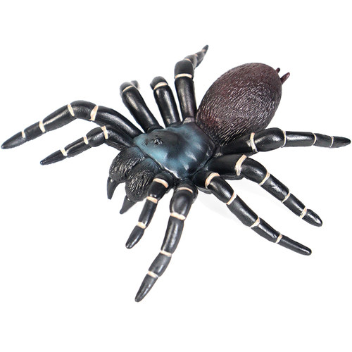 仿真动物昆虫甲虫模型蜜蜂蜘蛛蝎子蜈蚣蚂蚁玩具儿童教育认知礼物 - 图3