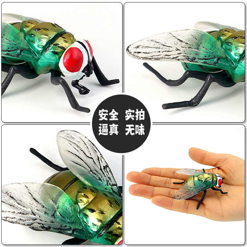 仿真动物昆虫绿皮苍蝇模型蜜蜂蝎子蜈蚣蚂蚁玩具儿童教育认知礼物 - 图1
