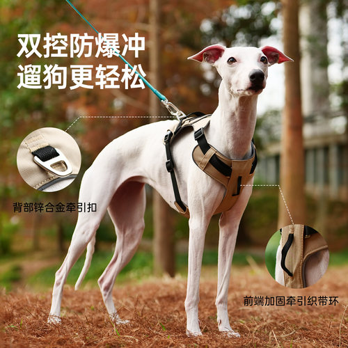 Touchdog它它山系工字型胸背狗狗牵引绳小中大型犬遛狗背带式狗绳 - 图3