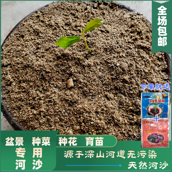 粗细河沙种植养花用拌土天然黄沙铺面中石子乌龟冬眠孵蛋鱼缸底砂 - 图3