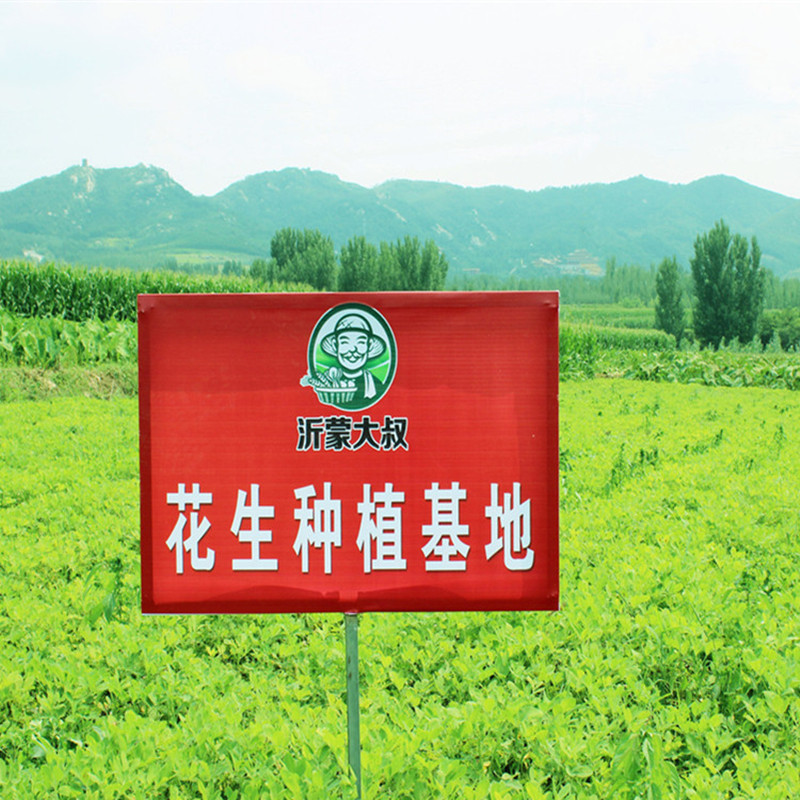 正宗新货大小粒黑花生米带壳生的原味种籽500g晒干山东黑皮富含硒,淘宝优惠券,粉丝福利购,淘宝优惠卷