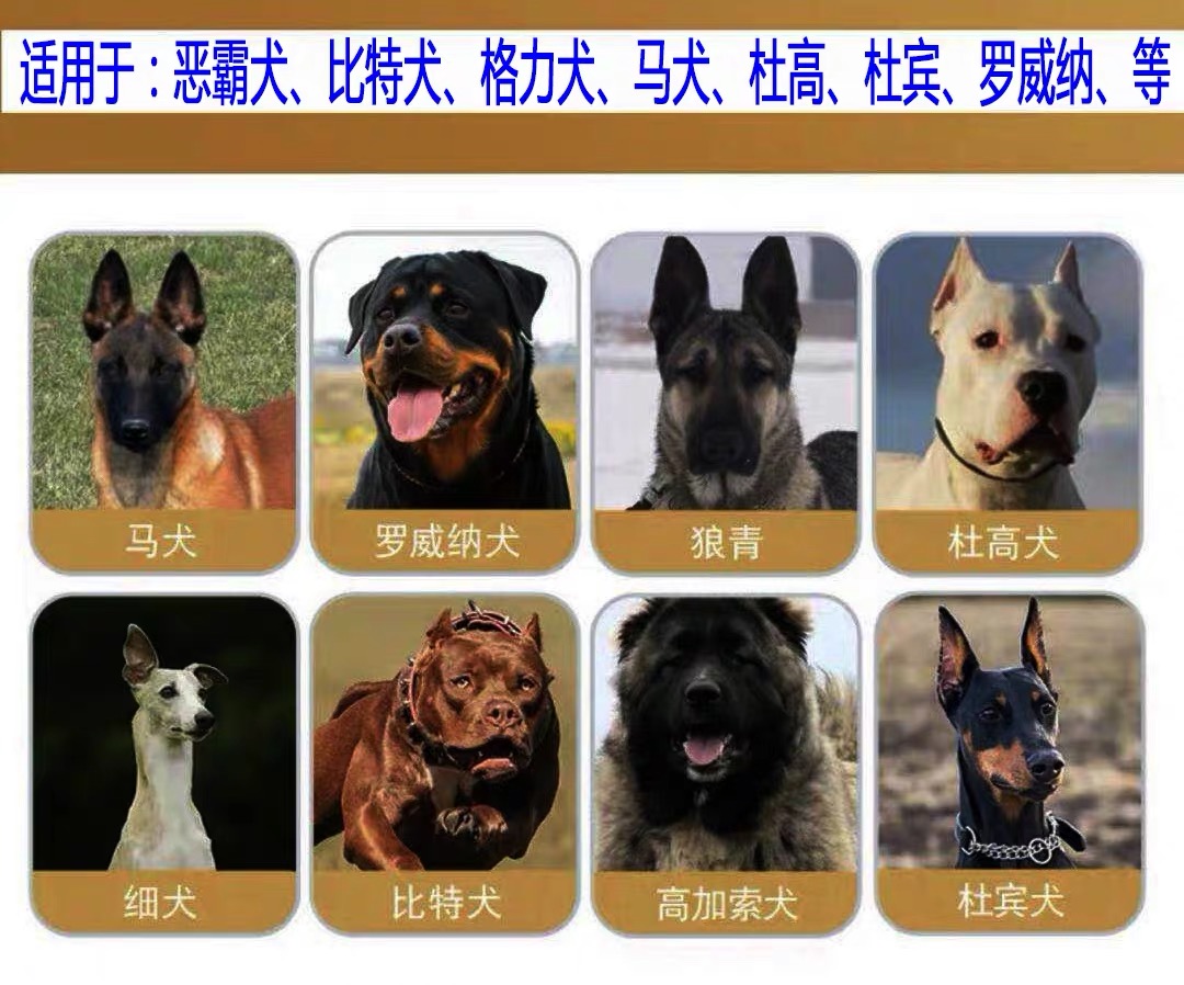 处理库存宠物乳清蛋白粉奶粉赛犬斗狗斗犬比特犬格力犬训练增肌粉