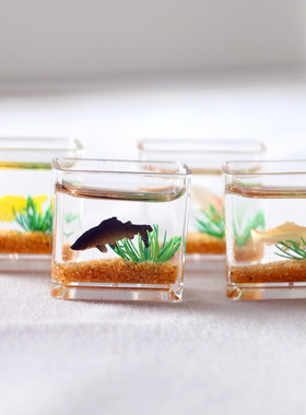 Dollhouse1:12仿真微缩迷你玻璃锦鲤缸方鱼缸 娃娃屋配件家居模型