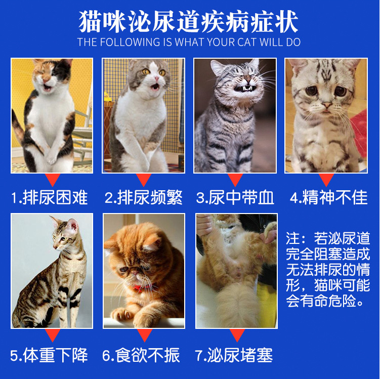 利尿通猫宠物尿闭尿血尿路感染尿利通猫膀胱炎泌尿系统维护咪尿通-图2