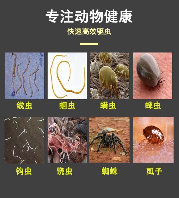 畜禽驱虫套餐，高端水溶打虫肉眼可见驱虫不伤胃-图2