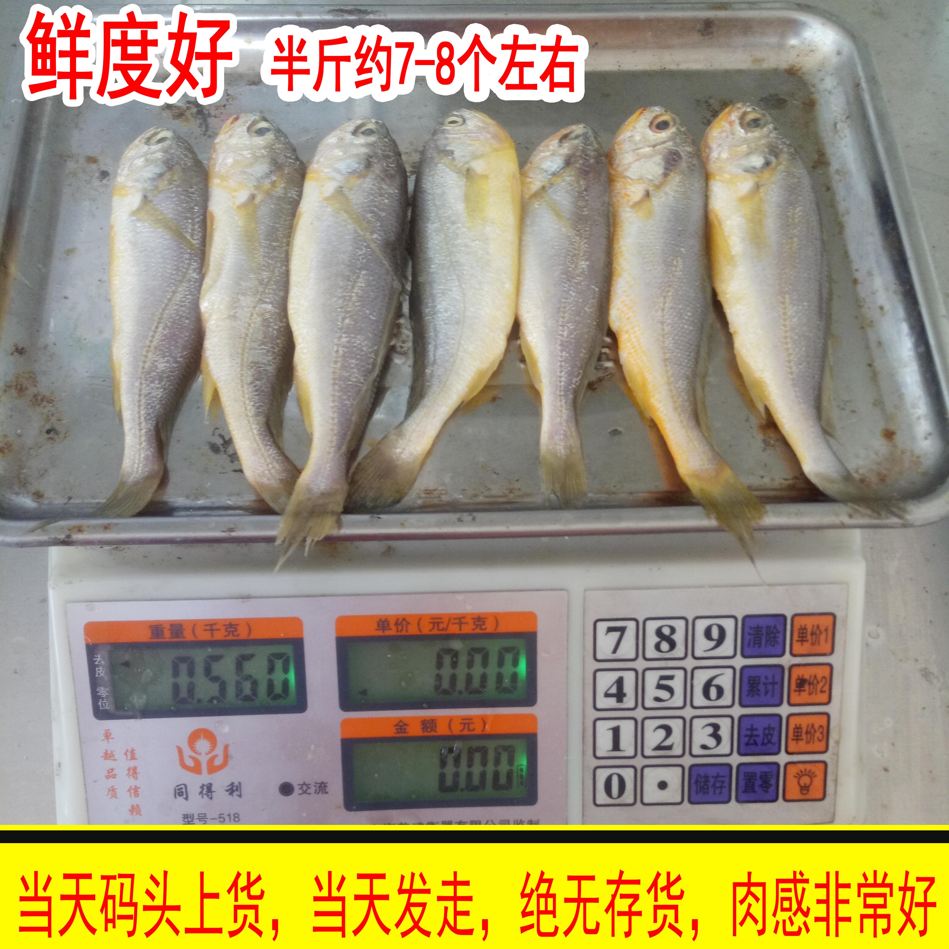 新鲜小黄花鱼12元/1斤一斤约16个 深海鱼宝宝辅食鲜活鱼海鲜水产 - 图0