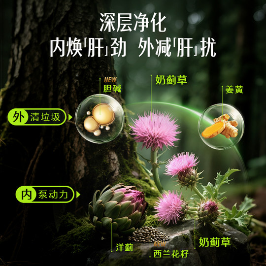 Swisse斯维诗护肝片胆碱女性男士奶蓟草护旰片正品熬夜水飞蓟姜黄