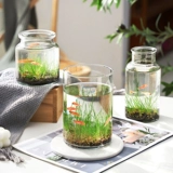 Стеклянный декор из смолы, креативный аквариум, 2 шт, DIY