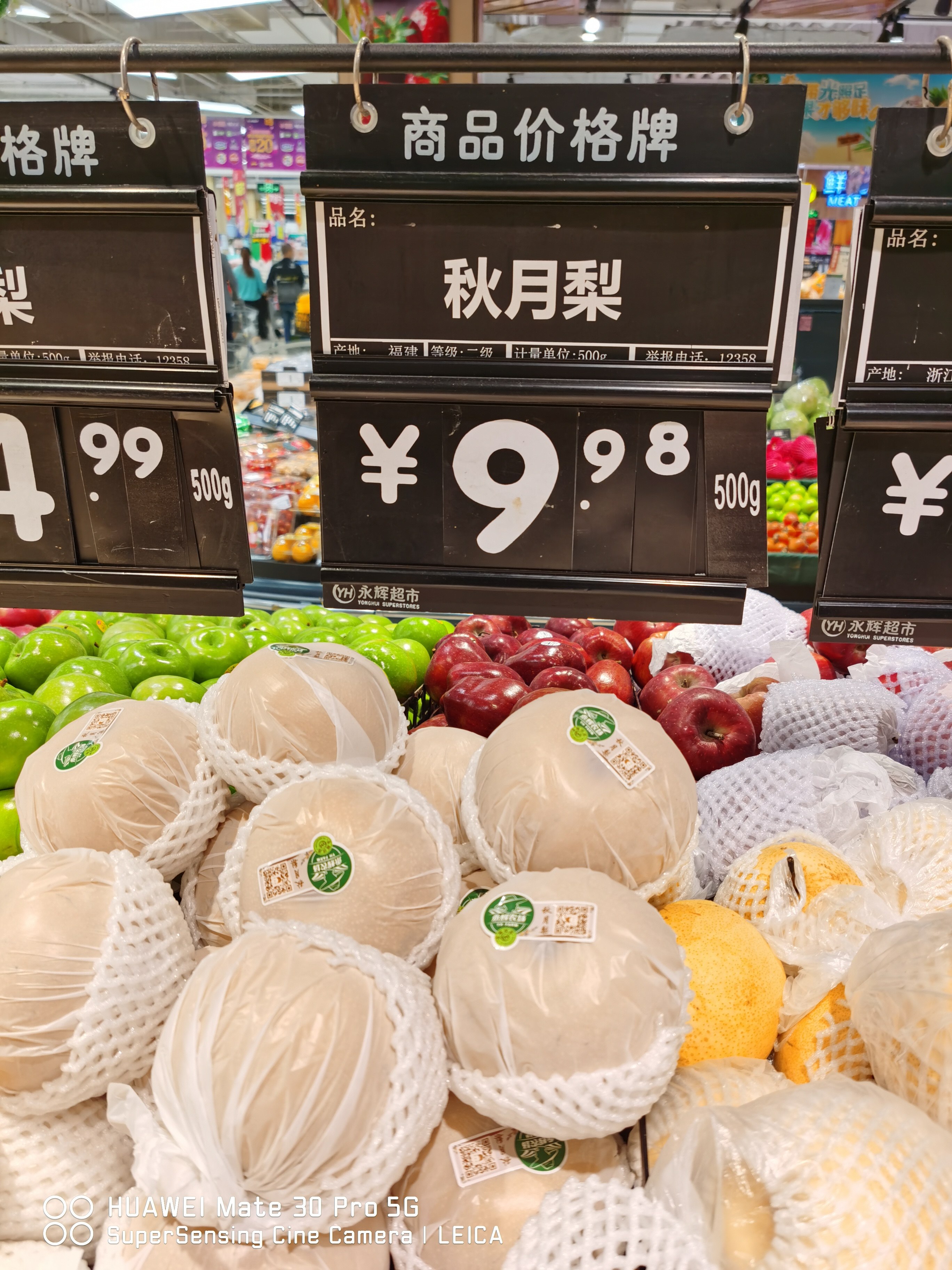 【秋月梨苗】九月经典日本晚熟秋王羊脂优质梨树苗 浙江新山苗场,淘宝优惠券,粉丝福利购,淘宝优惠卷