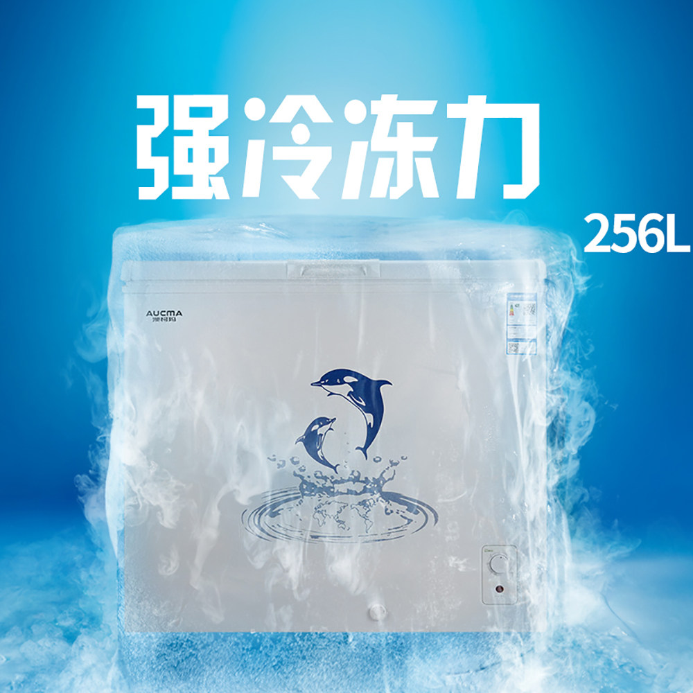 澳柯玛bc / bd-256na 256l大电冰柜 澳柯玛潍坊冷柜