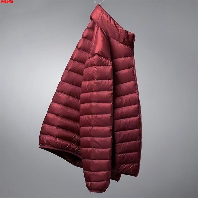 反季/清仓90白鸭棉服反季新款羽绒棉服立领棉服连帽保暖冬款外套,淘宝优惠券,粉丝福利购,淘宝优惠卷