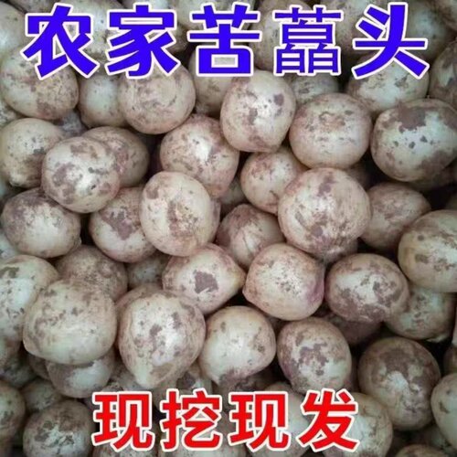 新鲜苦藠四川特产团葱小根蒜苦叫野葱头洋蒜苦蒜小蒜圆蒜团蒜薤白 - 图2