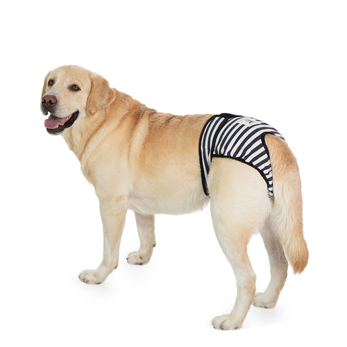 狗狗生理裤拉布拉多金毛中大型犬母狗月经裤狗狗防骚扰宠物安全裤 - 图0