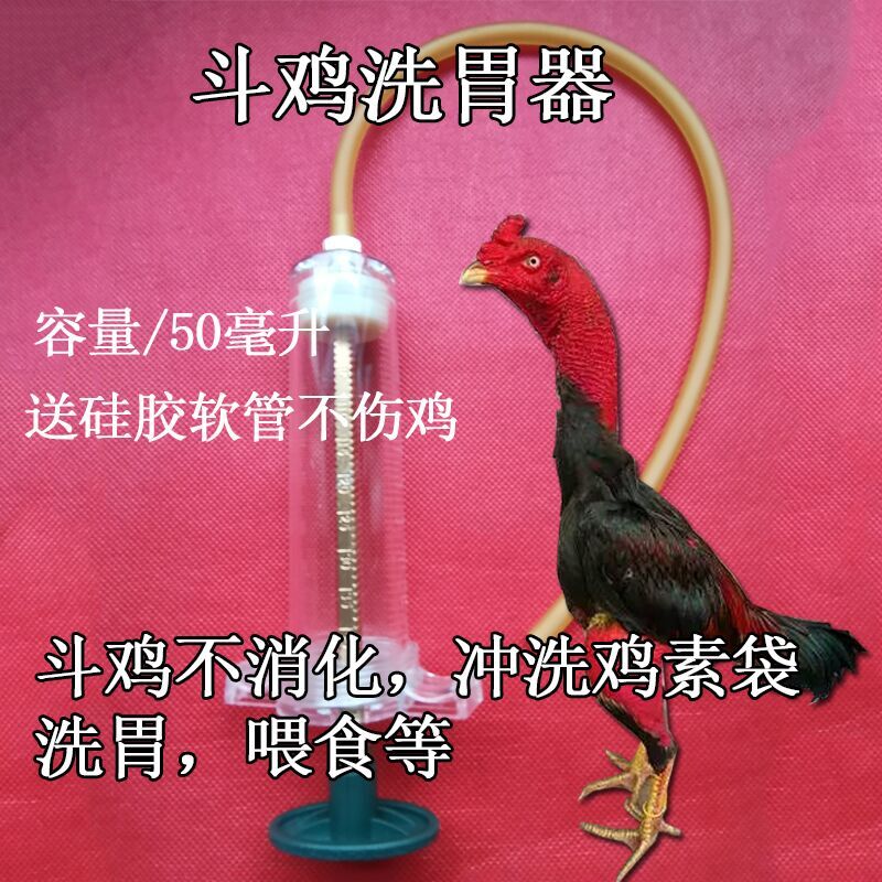 斗鸡洗胃器斗鸡训练用品斗鸡喂食器斗鸡比赛用品斗鸡训练用品斗鸡-图0