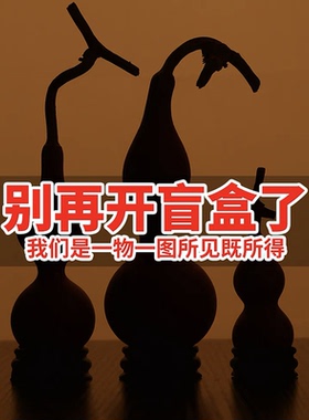 【一物一拍】文玩小葫芦带龙头养剑葫芦摆件挂件手把件手捻葫芦