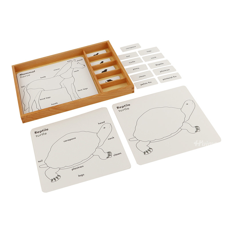 蒙氏教具动植物拼图三部卡蒙特梭利早教三段卡对照三步卡控制卡 - 图3