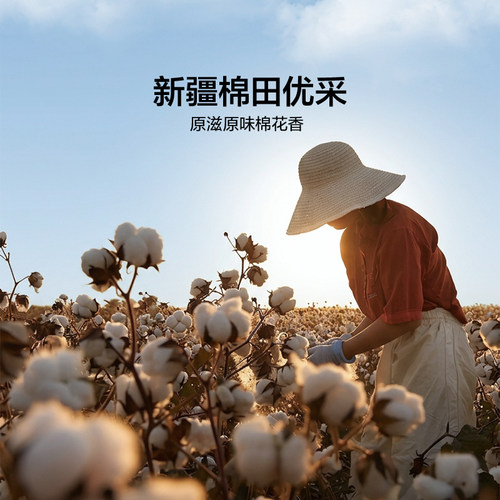 罗莱家纺LOVO新疆棉被棉花被芯春秋被子空调被纯棉夏凉被冬被宿舍 - 图1
