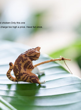 秃鸡小猫钓鱼摆件创意猫咪桌面摆件迷你装饰微景观电瓶车装饰小配