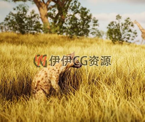 UE4虚幻5 Animalia- Spotted Hyena(male)写实公斑鬣狗模型-图3