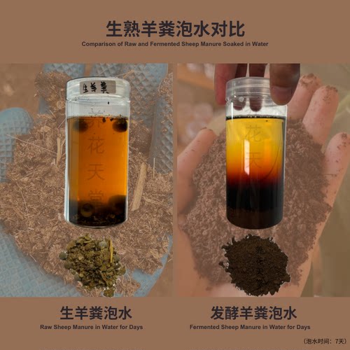 养花天堂®腐熟羊粪 改良土壤通用型 通过8项重金属检测 - 图2