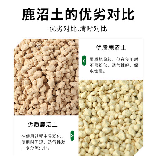 进口鹿沼土颗粒整包大包装多肉植物铺面配土兰花杜鹃酸性盆景专用 - 图2