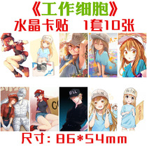 Cell Crystal Card sticker set of ten cartoon Perimeter Meal Card Bus Card adhesive sticker Customized