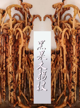 云南黑果木拐杖树瘤山茶木龙须拐杖长寿木天然拐棍疙瘩木根手杖