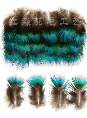 红淼孔雀蓝片特色自然色款