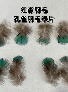 孔雀绿片红淼天然孔雀毛批发