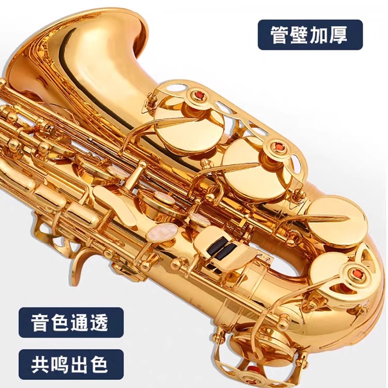 萨克斯降E调专业演奏款 追乐初学萨克斯风 Saxophone成人中音乐器 - 图0