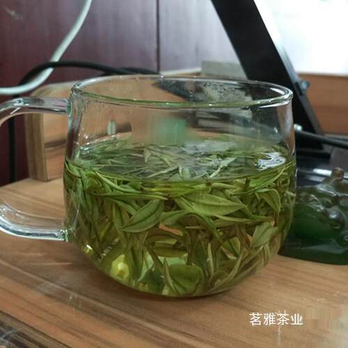 安吉白茶 2026年新茶叶 茗雅明前特级250g 春茶 高山珍稀绿茶散装 - 图2