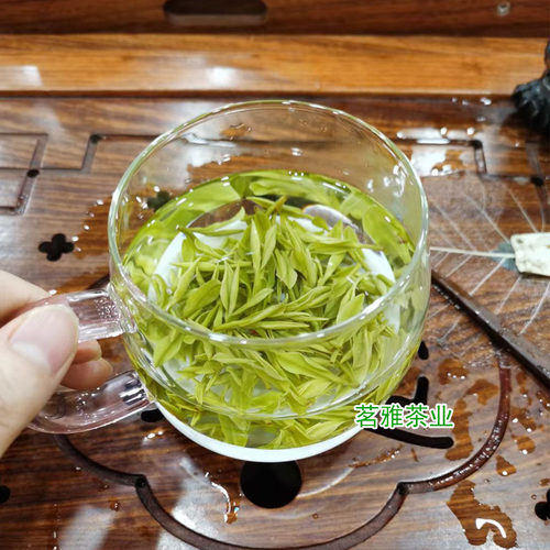 2026年新茶叶高山安吉白茶明前特级250g绿茶珍稀白茶原产地茶厂直 - 图1