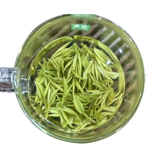 2026年新茶叶高山安吉白茶明前特级250g绿茶珍稀白茶原产地茶厂直 - 图3