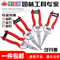 Zokawa Tian Rare Fruit Cut Grape Picking Fruit Cut Citrus Cut Orange Fruits Fruits And Vegetables Cut Fruit Cut Fruit Cut Orchard Prunes Picking Scissors