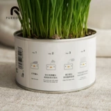 PURROOM Семена консервированных куриных котов