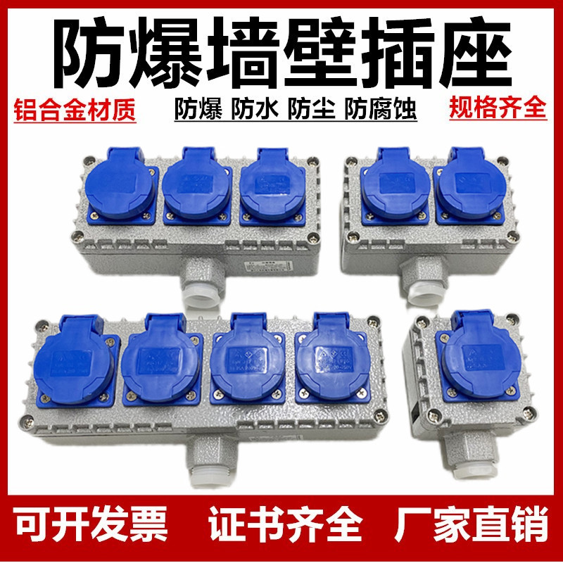 防爆插座220V防爆墙壁插座明装暗装通用10A/16A工业防水户外插座 - 图0