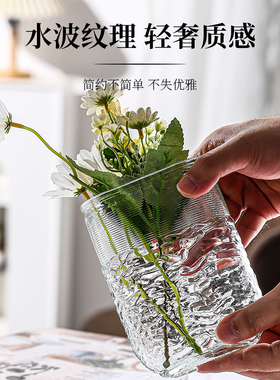 玻璃花瓶透明水养富贵竹插花瓶