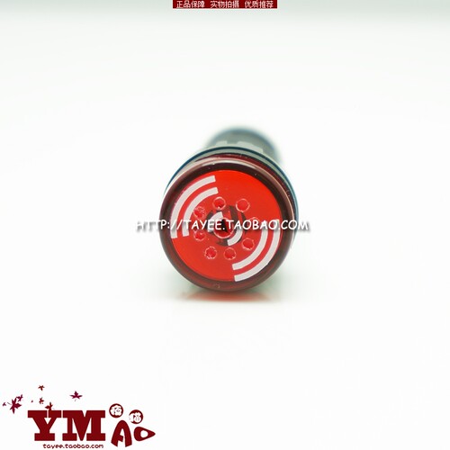 tayee带灯闪光声光蜂鸣器24v 220v上海天逸AD17-16sml 16sm报警器 - 图1