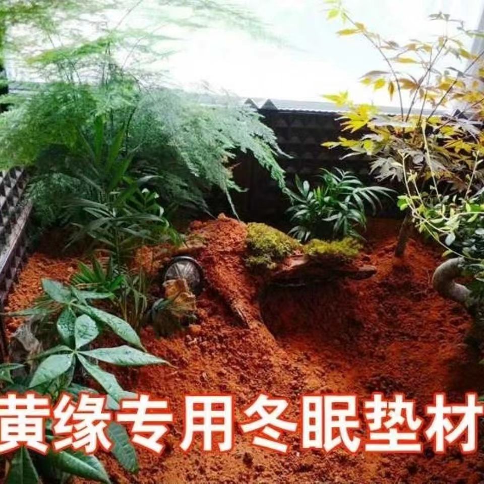 纯天然红土黄安缘龟缸造景专用泥颗粒无菌土保湿垫材陆龟爬宠用品 - 图0