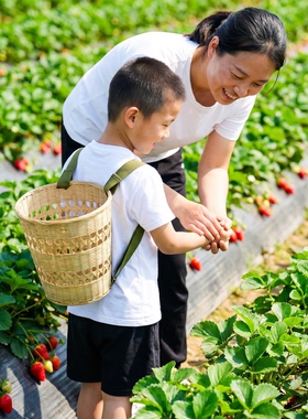 儿童手工竹编背篓幼儿园采摘