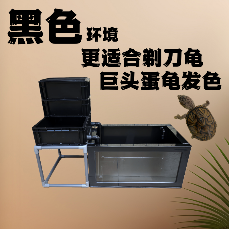 蛋龟养殖箱乌龟箱养果核剃刀麝香龟小型龟繁殖箱循环过滤养龟箱新,淘宝优惠券,粉丝福利购,淘宝优惠卷