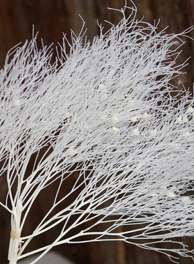梦幻草永生花真花保鲜花