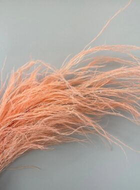 龙须草永生花干花吊米天然真花ins 家居插花装饰婚礼墙面软装花材