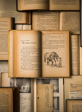 ins复古外文英文旧书二手书橱窗办公室摆件陈列拍摄道具摄影背景