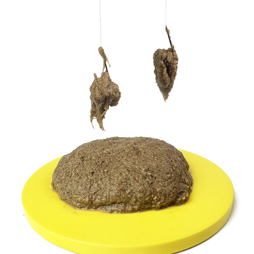 罗非昆布丝成品冷冻拉饵冻料肝腥味一包搞定专攻大非黑坑散炮窝料 - 图0