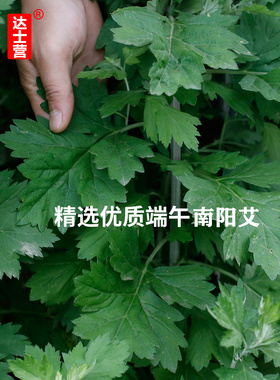 迷你一生心形三孔艾饼专用家用片