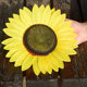 Sunflower dance children's opening ceremony props holding flowers